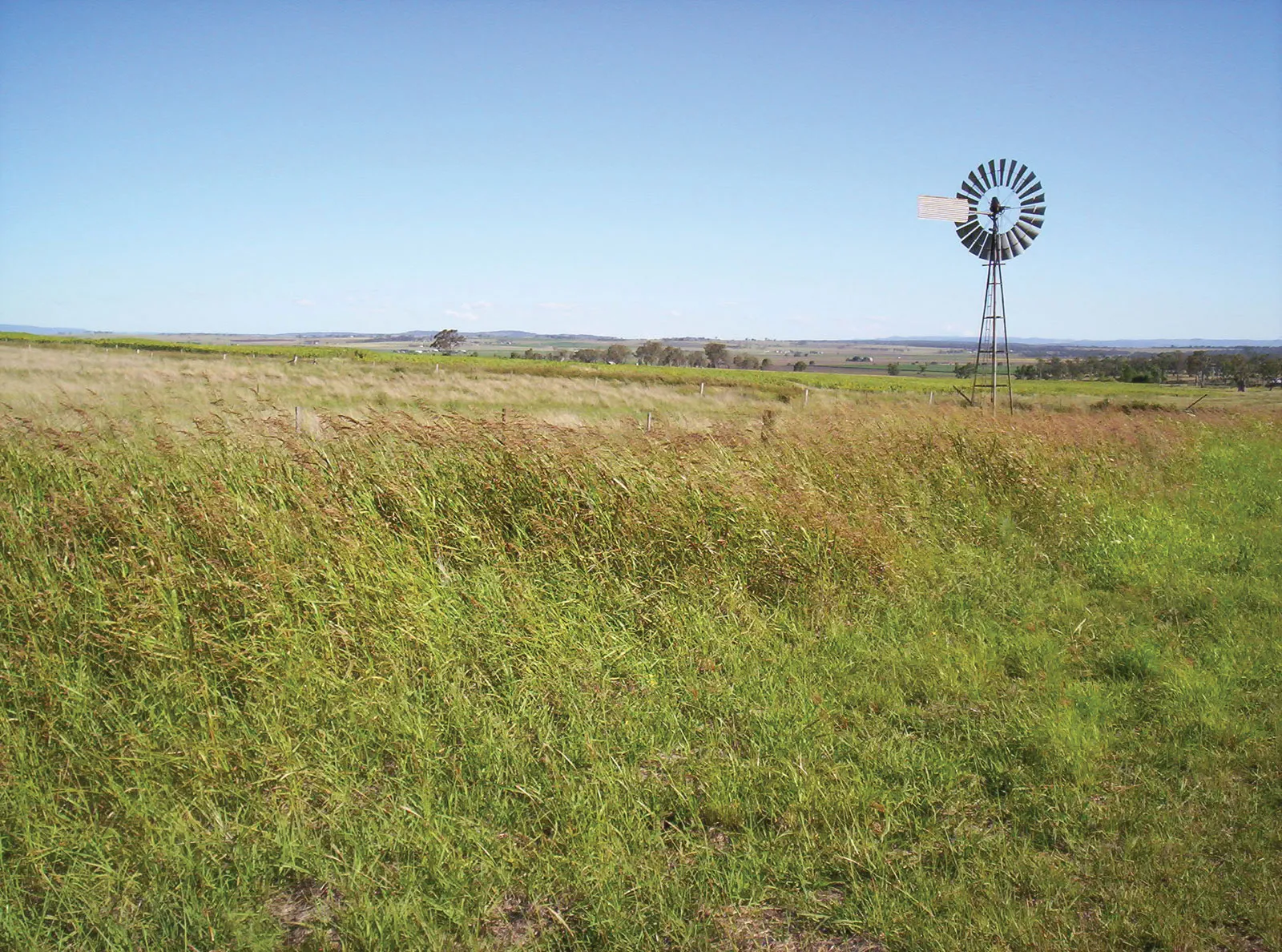 Iron Clad Fencing & Construction in Darling Downs, QLD